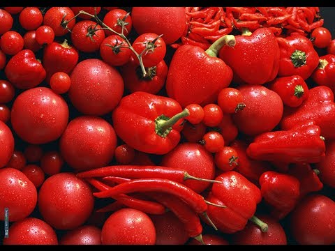МАГИЯ ПИТАНИЯ